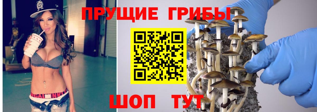 Галлюциногенные грибы прущие грибы Кубинка